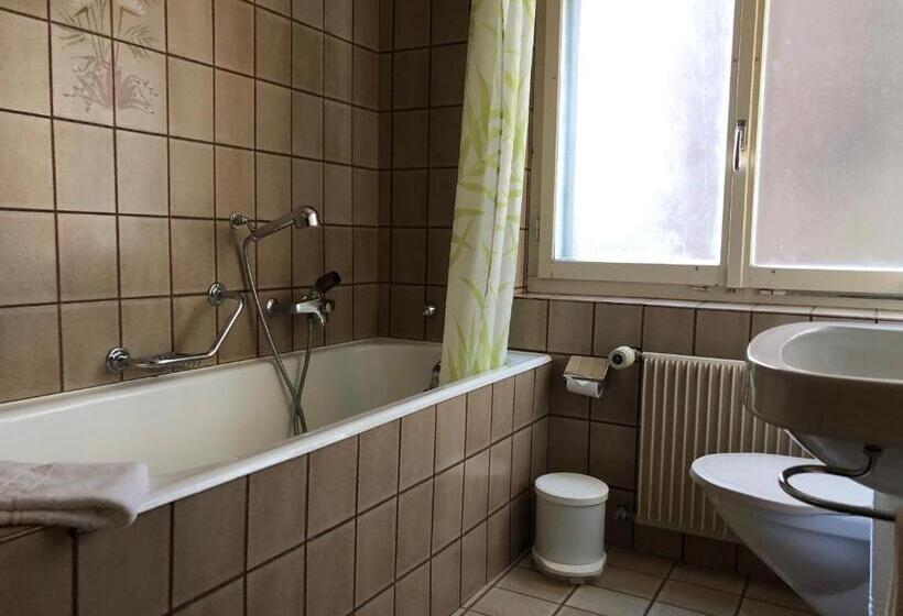 חדר סטנדרט עם מרפסת, Gebidem