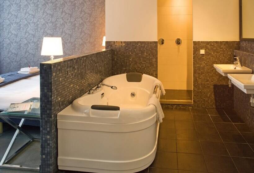 小型套房, Grand Hotel Alkmaar