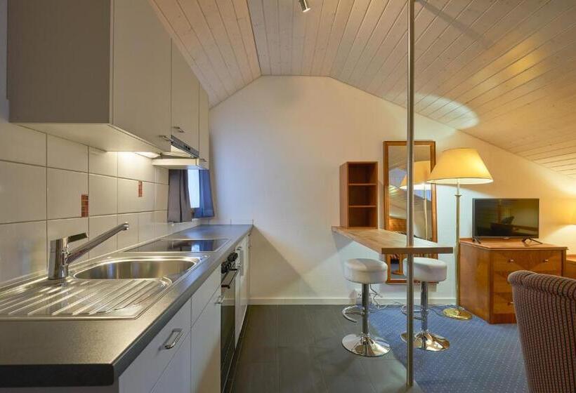 Family Suite, Hine Adon Fribourg