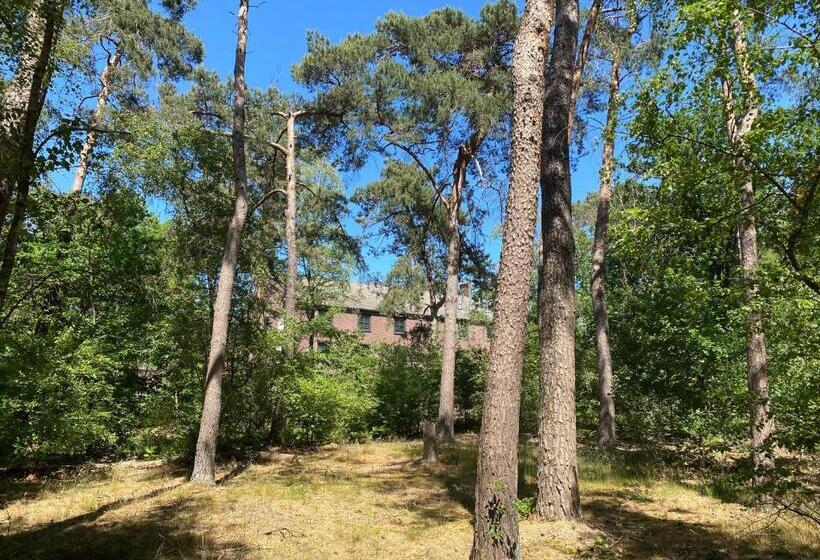 اتاق راحتی, Kapellerput Heeze Eindhoven