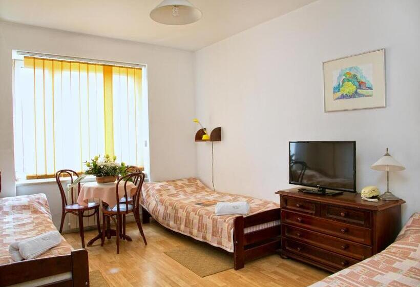 スタンダードシングルルーム, Monttis