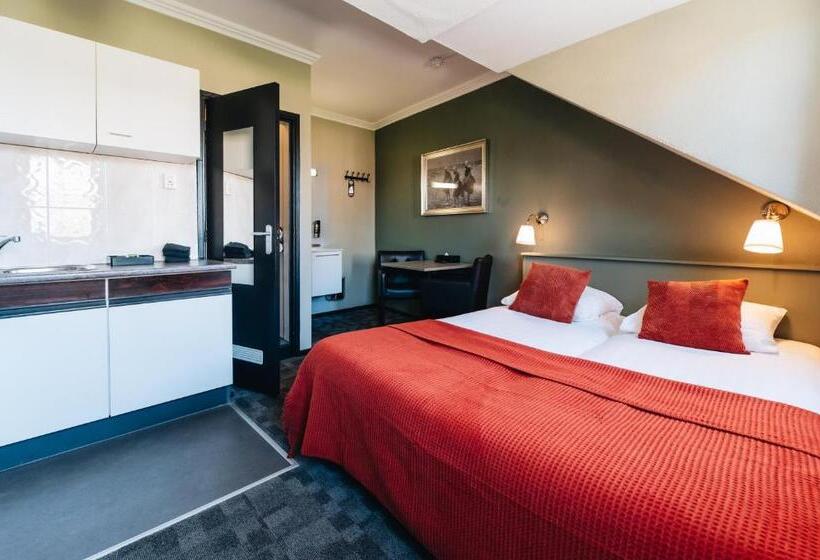 استودیوی استاندارد, Renesse