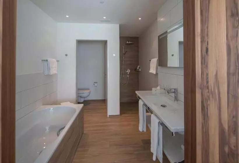 1 Bedroom Superior Apartment, Rössli Hurden