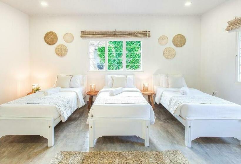 共用房间的床, We Escape