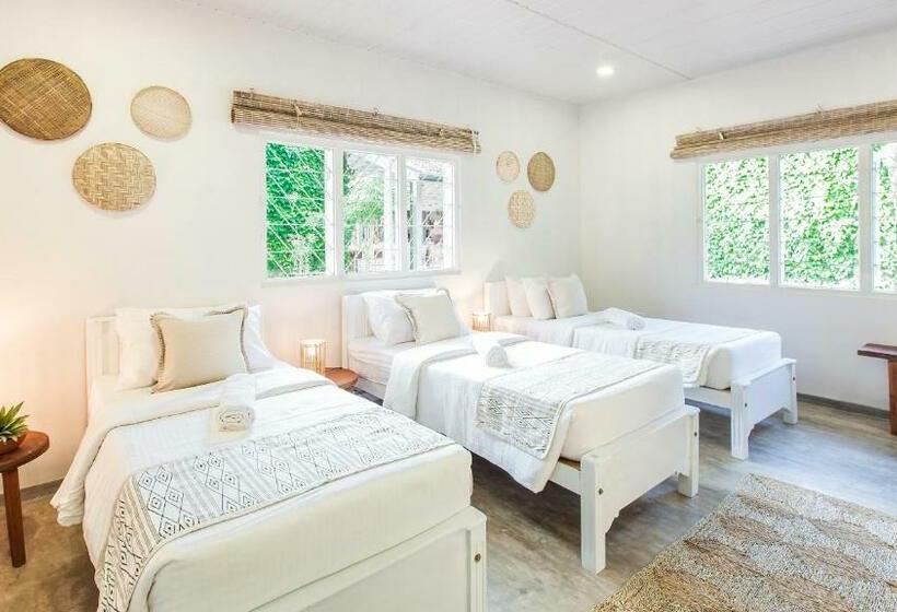 共用房间的床, We Escape