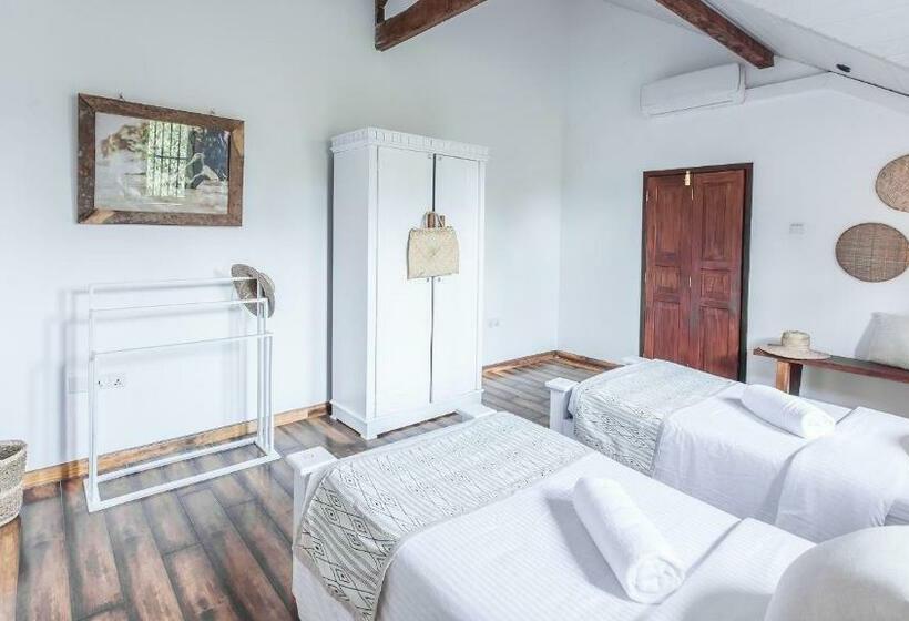 共用房间的床, We Escape