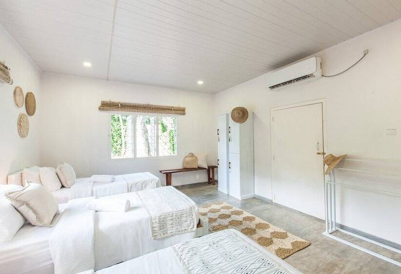 共用房间的床, We Escape