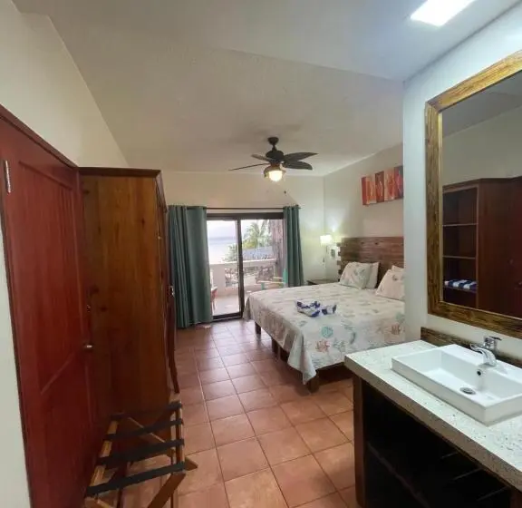 اتاق استاندارد با تخت بزرگ, Brisas Del Mar Beach + Dive Resort