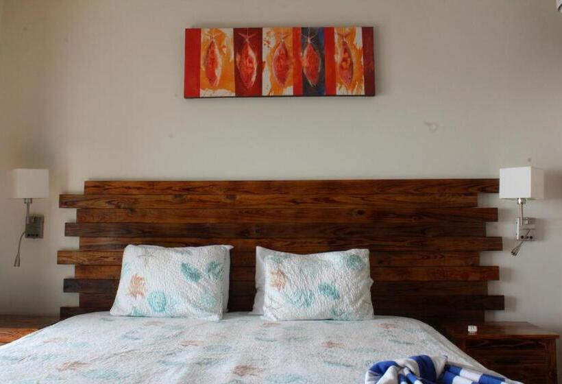 اتاق استاندارد با تخت بزرگ, Brisas Del Mar Beach + Dive Resort