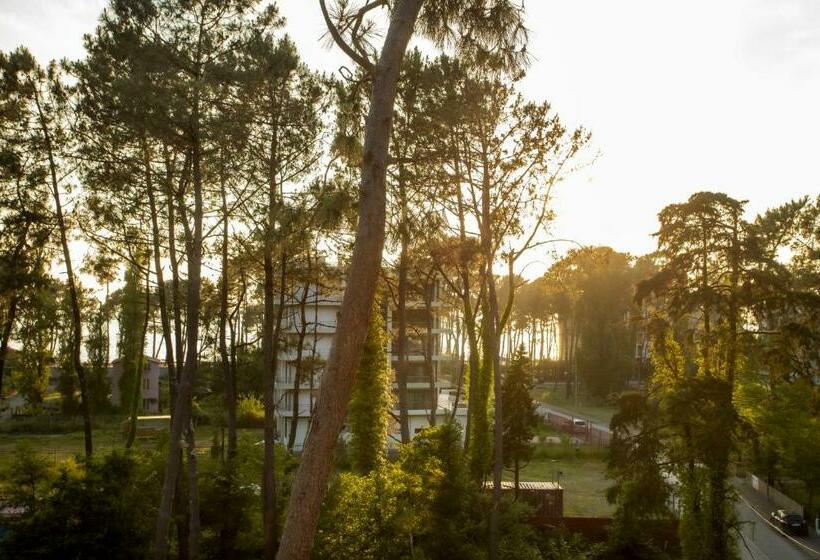 اتاق استاندارد با بالکن, Graphica Black Sea