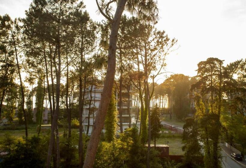 اتاق خانوادگی, Graphica Black Sea