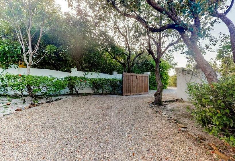 חדר סטודיו סטנדרד, Garden @ Casa Nettuno