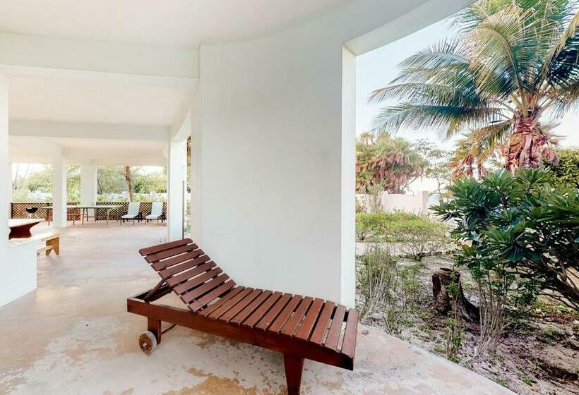 חדר סטודיו סטנדרד, Garden @ Casa Nettuno