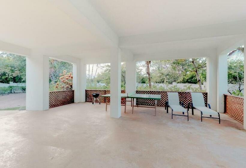 חדר סטודיו סטנדרד, Garden @ Casa Nettuno