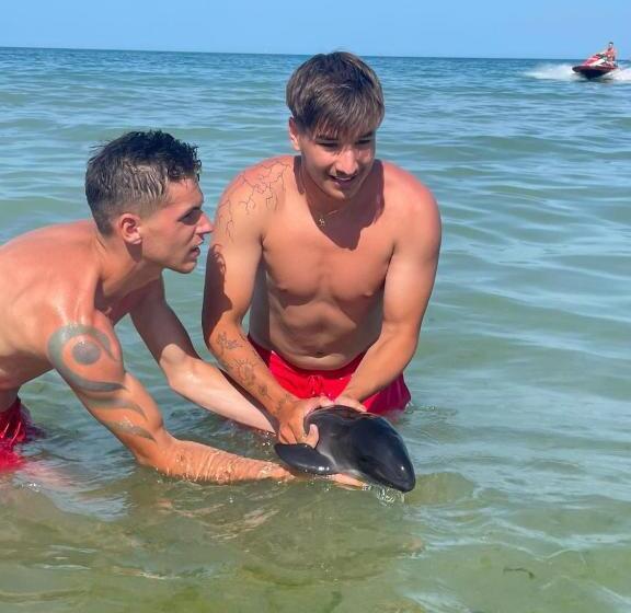 低层单卧公寓, Vila Belanto