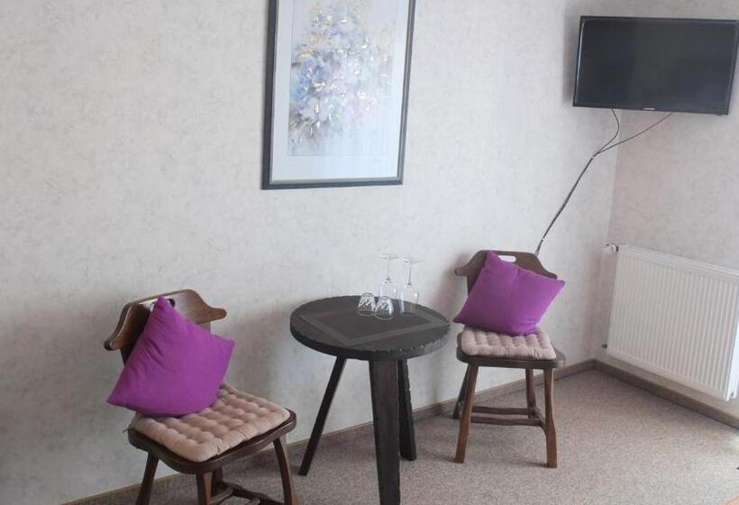 스탠다드 발코니 룸, Mönchbergerhof Müller