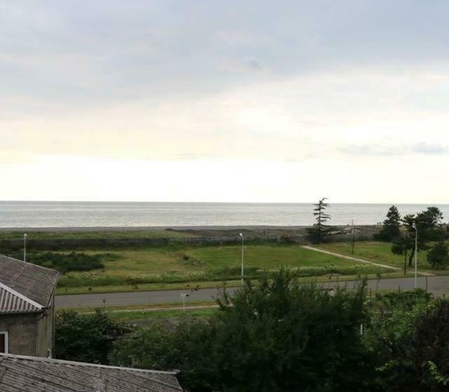 اتاق خانوادگی با چشم‌انداز دریا, Cactus