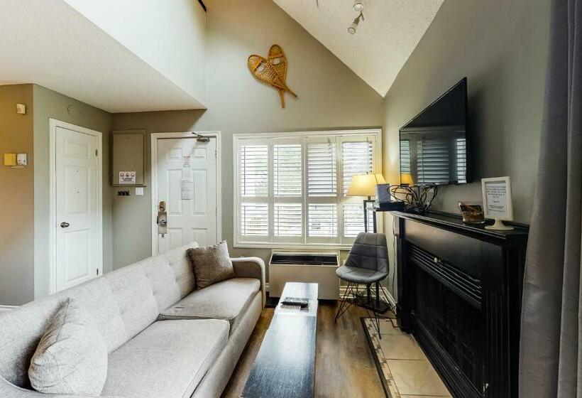 إستوديو قياسى, Condo 211 At North Creek Resort