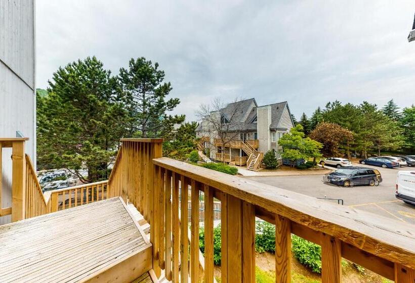 إستوديو قياسى, Condo 211 At North Creek Resort