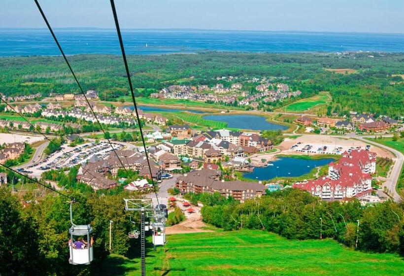 إستوديو قياسى, Condo 211 At North Creek Resort