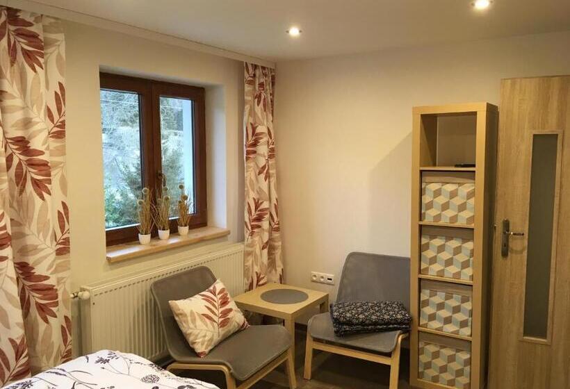 דירת שני חדרים, Penzion Rehek