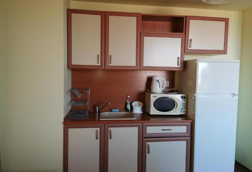 דירת חדר עם טרסה, Villa Iztok