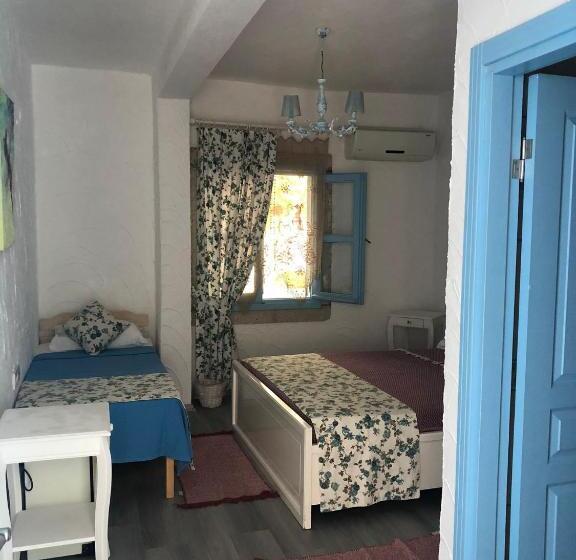 スタンダードトリプルルーム, çakir Bey