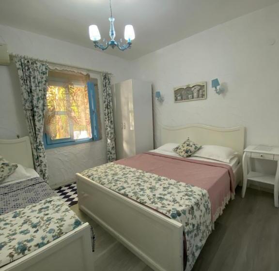 庭の見えるスタンダードトリプルルーム, çakir Bey