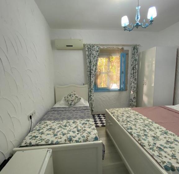 庭の見えるスタンダードトリプルルーム, çakir Bey