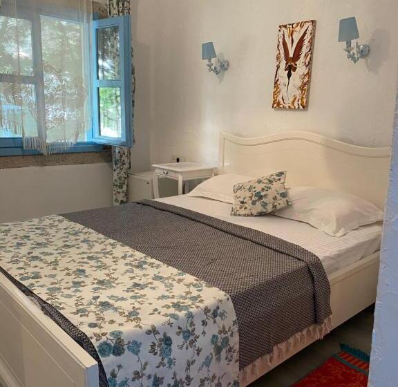 スタンダードルーム, çakir Bey