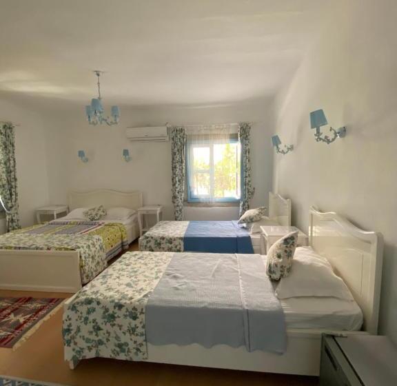 スタンダード4人部屋, çakir Bey