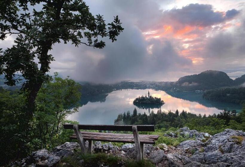 اتاق استاندارد چهار تخته, Vila Mangart