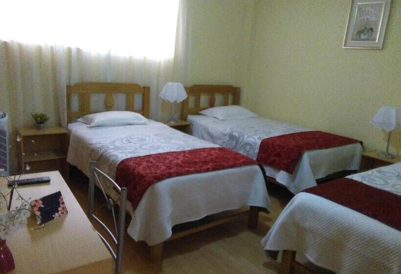 آپارتمان 1 خوابه, Apart & Hostal Manualé