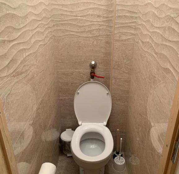 Апартаменты 1 Спальня, Ari Villa Révfülöp