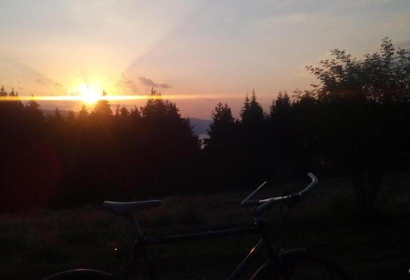 וילת חדר שינה 1, נוף לגינה, Guesthouse Classic