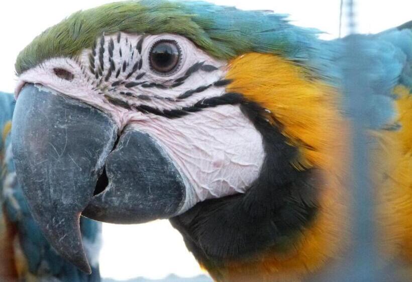 בקתה, Hannah S Haven