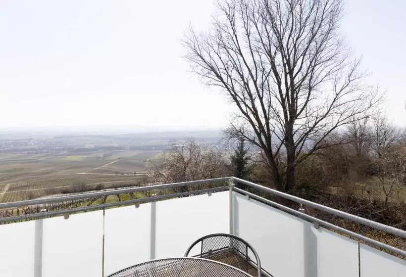ドゥプレックスルーム, Hofgut Wißberg  Das Weinberg