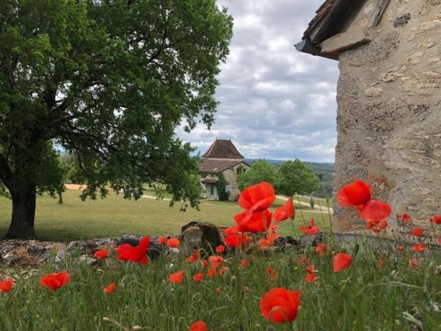 高级大房间, Hôtel Les Vieilles Tours Rocamadour