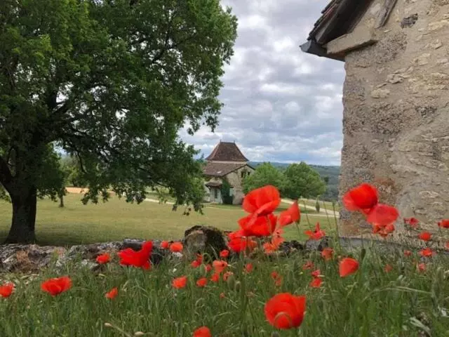 スーペリアールーム, Hôtel Les Vieilles Tours Rocamadour