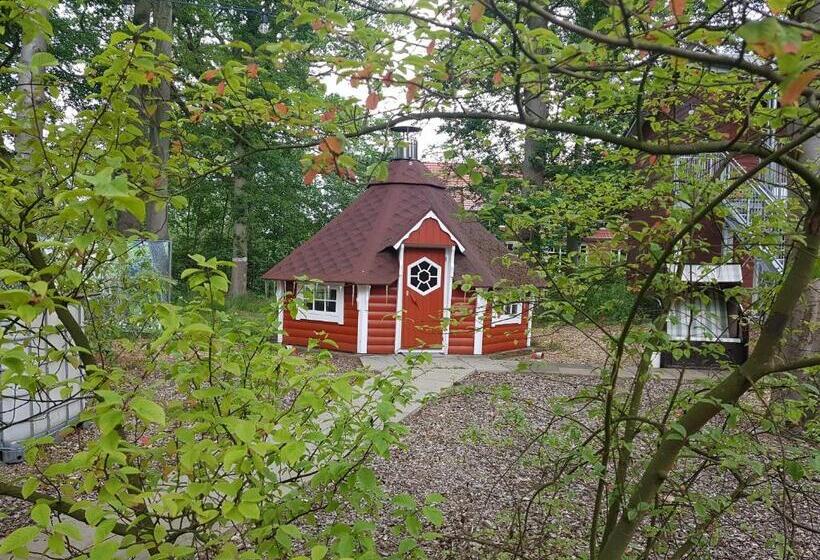 غرفة قياسية, Kräuterhotel & Restaurant Heidejäger