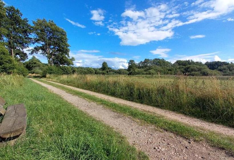 غرفة قياسية ثلاثية, Kräuterhotel & Restaurant Heidejäger