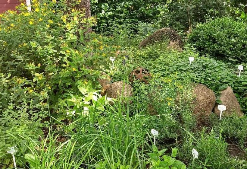 غرفة عائلية, Kräuterhotel & Restaurant Heidejäger