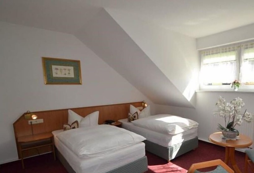 스탠다드 룸, & Restaurant Zur Linde