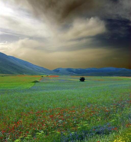 带1个卧室的公寓, Agriturismo Roccagelli