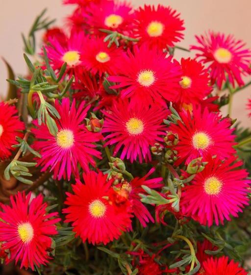 חדר סטנדרט לשלושה, Antica Dimora   Ospitalità E Tradizione