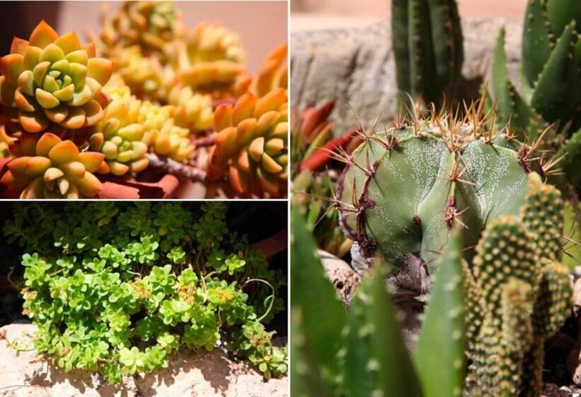 חדר סטנדרט לשלושה, Antica Dimora   Ospitalità E Tradizione