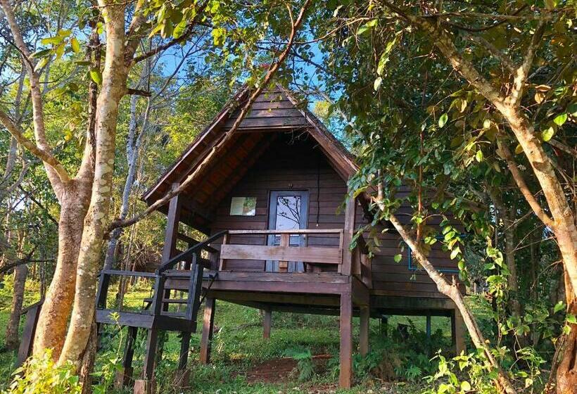 غرفة قياسية مطلة على الجبل, Nature Lodge