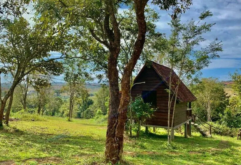 マウンテンビュースタンダードルーム, Nature Lodge