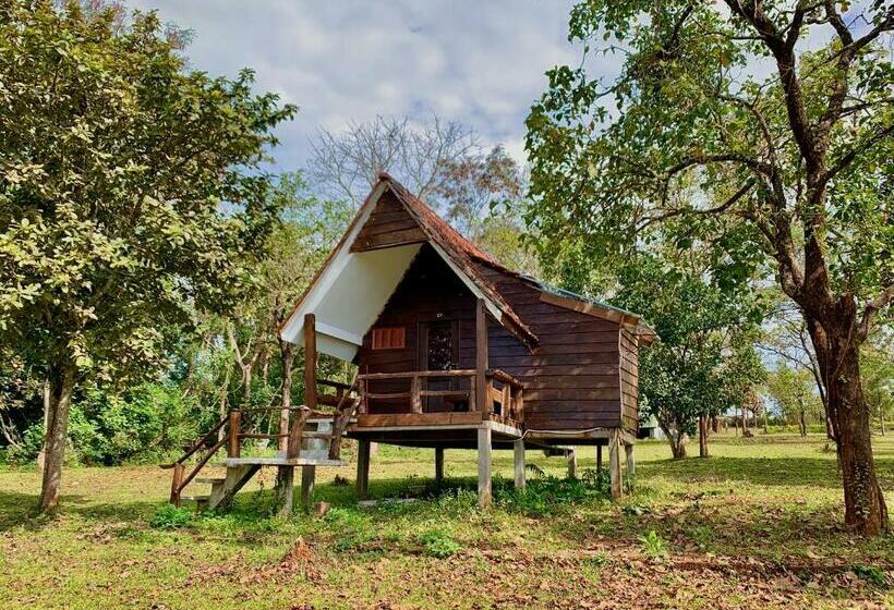 غرفة قياسية مطلة على الجبل, Nature Lodge