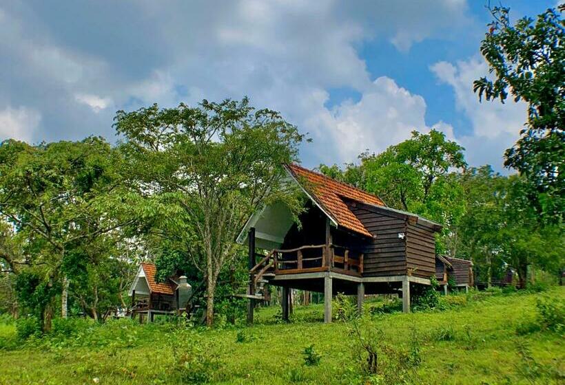 Номер Стандарт Вид на Горы, Nature Lodge